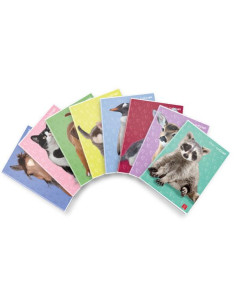 CF10 MAXI D.CUCCIOLI 42FF 10 F.TOA4