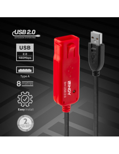 Lindy 42780 adattatore e invertitore Nero