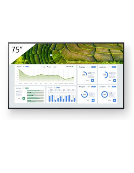 75  4K 24/7 PROFESSIONAL BRAVIA