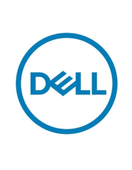 DELL 161-BCFV disco rigido interno 2,4 TB 10000 Giri/min 2.5" SAS