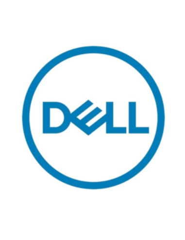 DELL 161-BCFV disco rigido interno 2,4 TB 10000 Giri/min 2.5" SAS