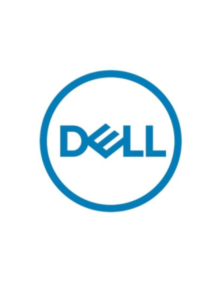DELL 161-BCLH disco rigido interno 2,4 TB 10000 Giri/min 2.5" SAS
