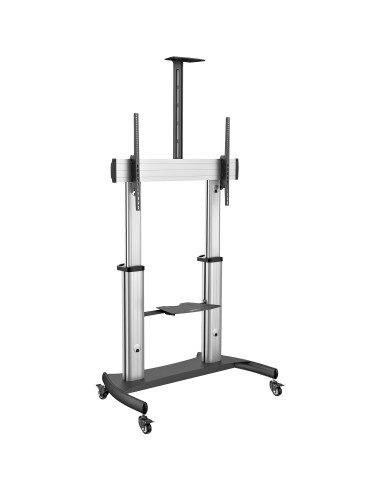 StarTech.com Mobile TV Stand girevole su ruote - Carrello porta TV resistente per schermi da 60-100" (100kg) - Supporto tv da pa