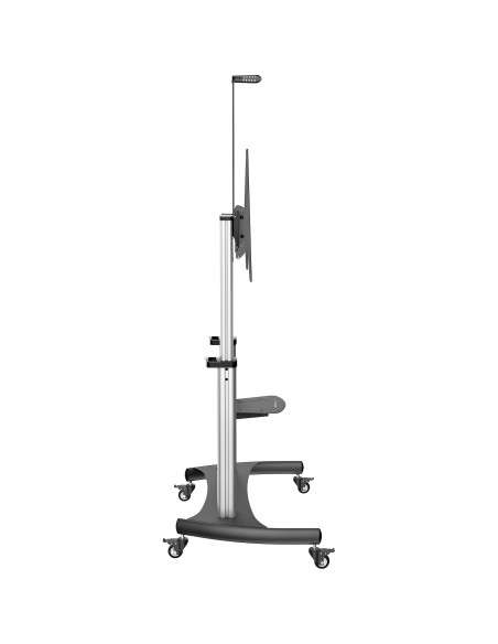 StarTech.com Mobile TV Stand girevole su ruote - Carrello porta TV resistente per schermi da 60-100" (100kg) - Supporto tv da pa