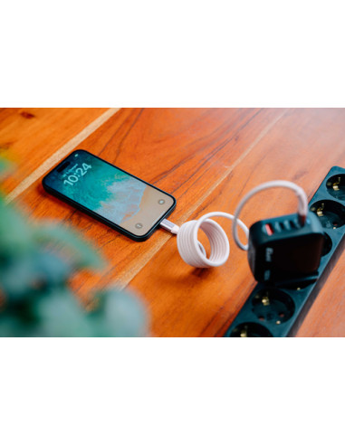 Verbatim 31850 cavo USB USB 2.0 1,2 m USB C Grigio