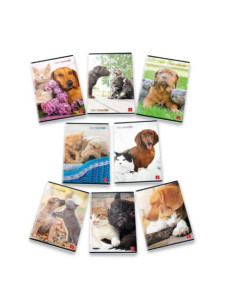 CF10 QUADERNI  CUCCIOLI 0A  A4 80G