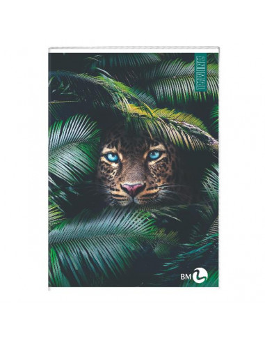 CF 10 QUADERNI ANIMAL A4 80GR R.Q