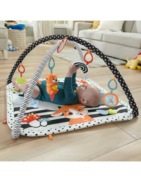 Fisher-Price HBP41 palestra per bambino e tappeto di gioco Multicolore Palestrina a tappeto per bambino
