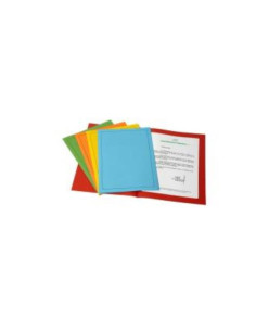 CF50 CARTELLINE C/FINESTRA 120GR AS