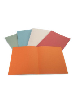 CF100CARTELLINE SEMPL GRIGIE 145GR