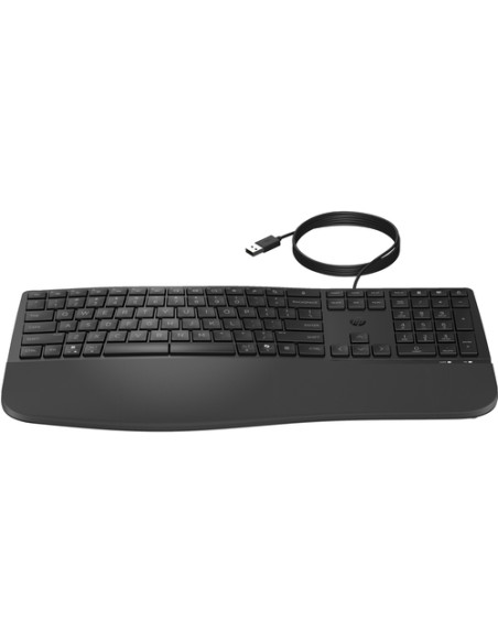 HP Tastiera cablata 480 Comfort