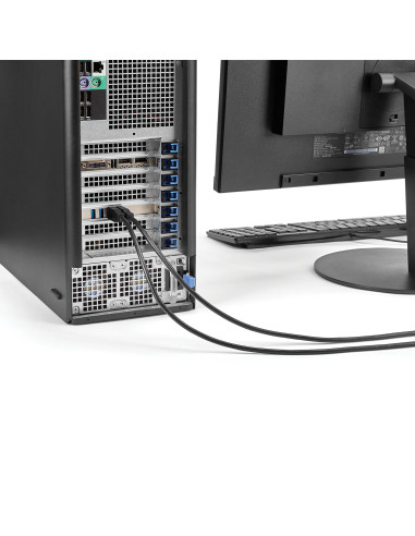 StarTech.com Adattatore scheda SuperSpeed USB 3.0 con 4 porte PCI Express (PCIe) con 4 canali da 5 Gbps dedicati - UASP - Alimen