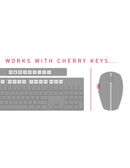 CHERRY DW 5100 tastiera Mouse incluso Casa RF Wireless Ceco, Slovacco Nero