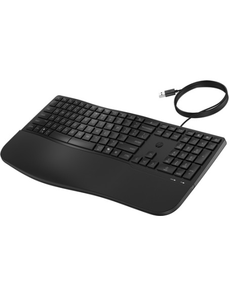 HP Tastiera cablata 480 Comfort