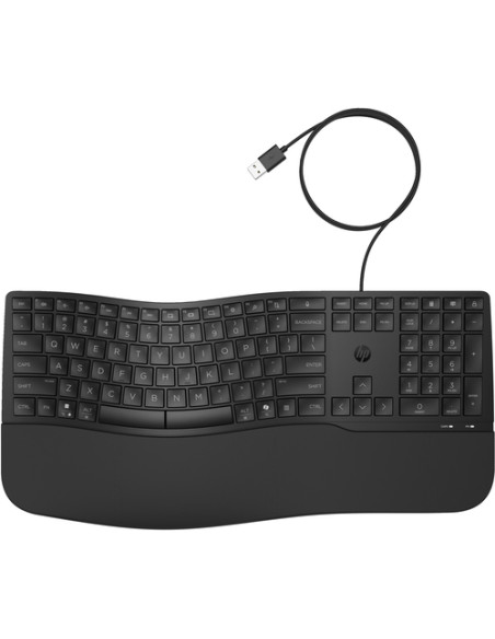 HP Tastiera cablata 480 Comfort