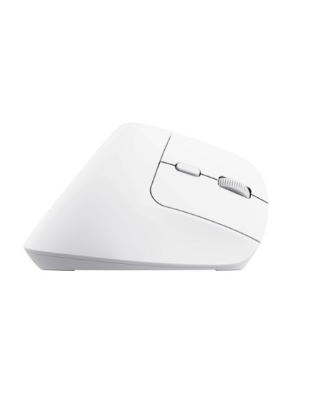 Trust Bayo+ mouse Ufficio Mano destra RF senza fili + Bluetooth Ottico 2400 DPI