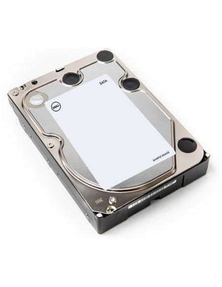 DELL W69TH disco rigido interno 1 TB 7200 Giri/min 3.5" Serial ATA III