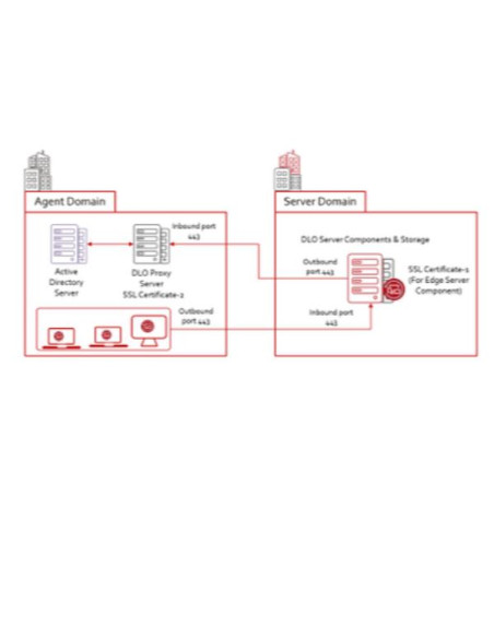 DLO 10USR LIC+ESS MNT 24MO CORP