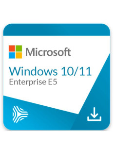 WINDOWS 10/11 ENTERPRISE E5
