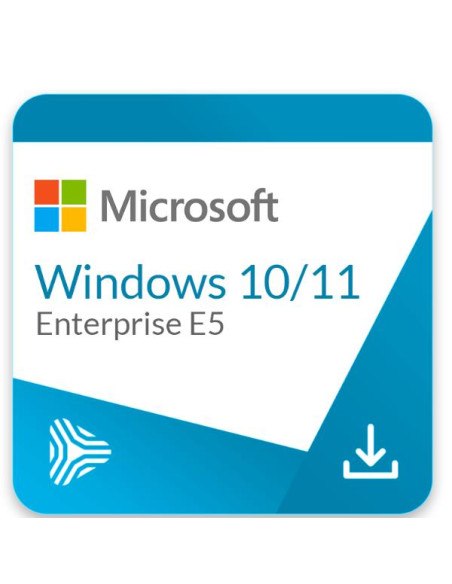 WINDOWS 10/11 ENTERPRISE E5