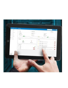 IPM PERPETUAL LICENSE AND 5 YEARS 2