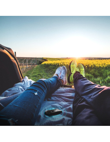 TP-Link M7010 dispositivo di rete cellulare Router di rete cellulare