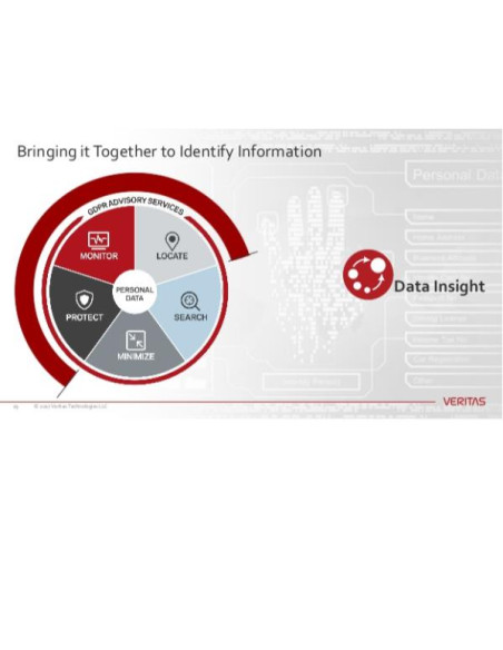 DATA INSIGHT SELF SVC ADDON STD COR