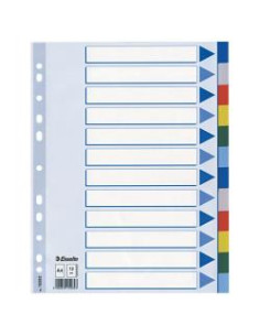 CF10 INTERCALARE PPL 12 T.COLORS A4