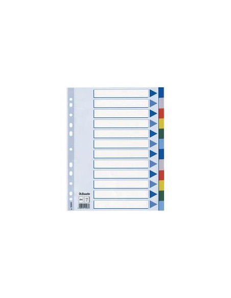 CF10 INTERCALARE PPL 12 T.COLORS A4