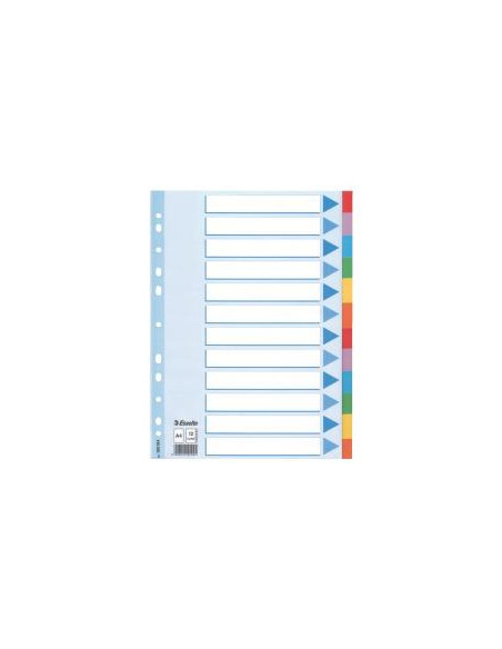 CF10 INTERCAL CARTON12 T.COLORS A4