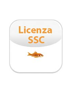 SOFTWARE SERVICE CREDIT/SSC