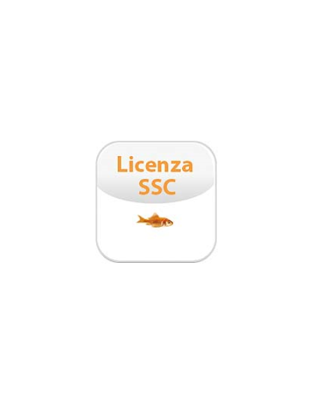 SOFTWARE SERVICE CREDIT/SSC