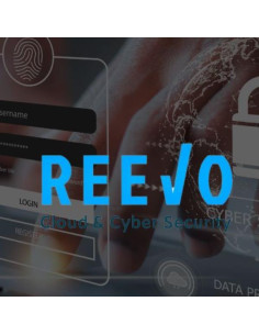 AO CYB SEC FULL MNGD SOC H24