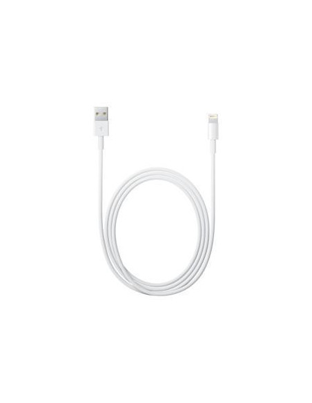 £LIGHTNING TO USB CABLE (2 M)