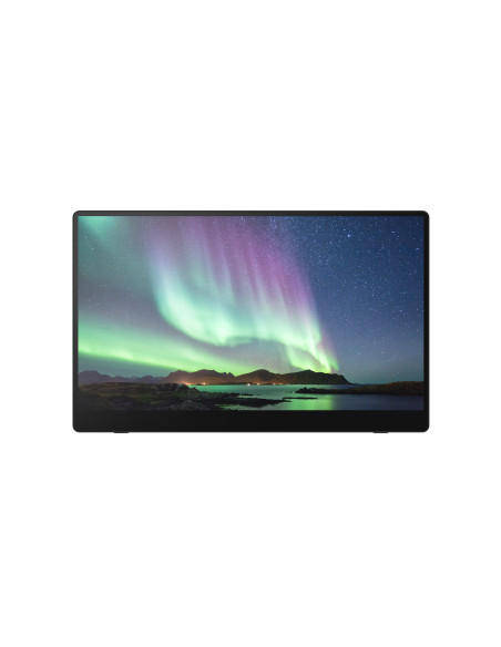 Ricoh Monitor portatile 150BW