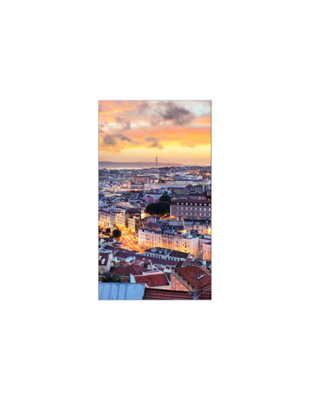 Samsung VH55C-E LCD Interno