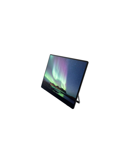 Ricoh Monitor portatile 150BW