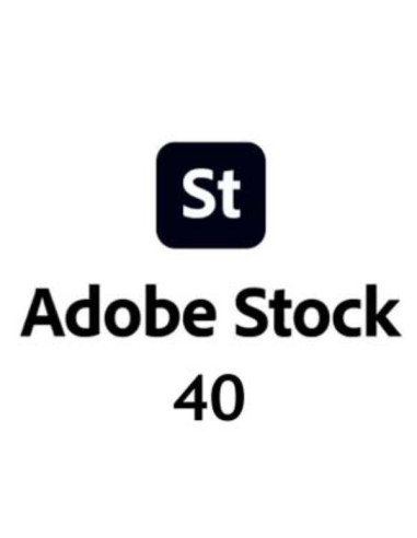 STOCKTEAMS OTHER ML NEW GOV