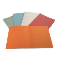 CF100 CARTELLINE SEMPL BLU 145