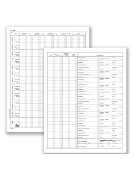 CF5 REG.PROSP.RIEPILOG.ASS.SPORTIVE
