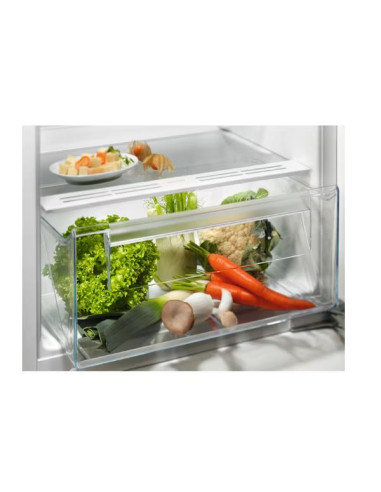 MONO INC STAT 122 E 208L