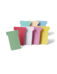 CF100 SCHEDE A T ROSSO INDICE 2