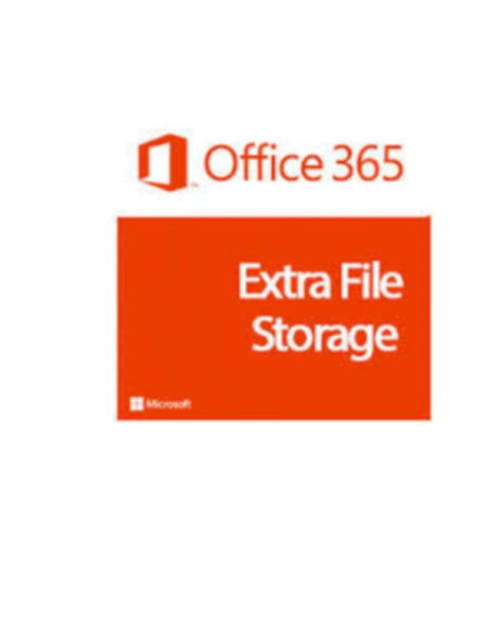 OFF 365 EXTRA FILE STORAGE NOPROF