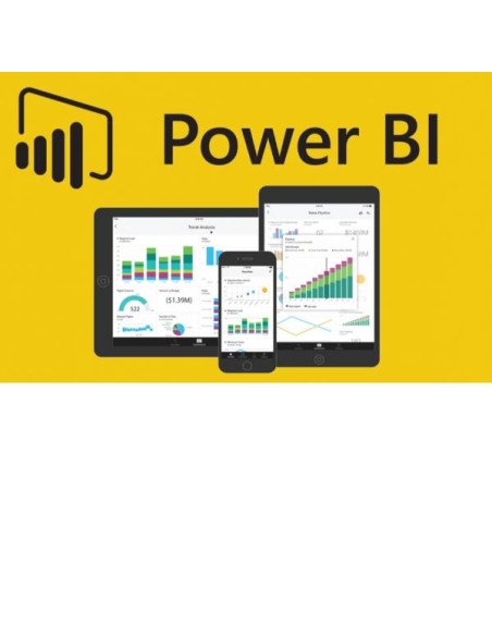 POWER BI PREMIUM P1 FOR FACULTY