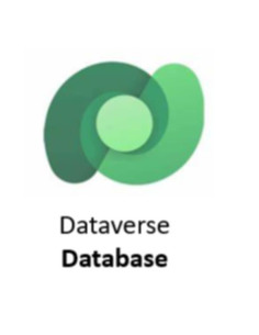 COMMON DATA SERVICE DB CAPACITY NP