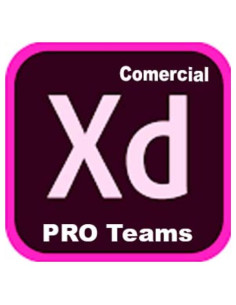 XD PRO TEAMS ML NEW COM 2