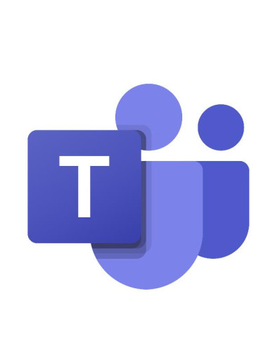 MS TEAMSROOMSPRO WITHOUT AUDIO CONF