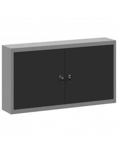 Armadio per attrezzi da parete  Nero 100x20x55 cm Acciaio
