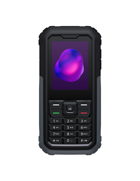 TCL 3189 6,1 cm (2.4") Nero, Grigio Telefono con fotocamera