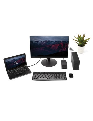 StarTech.com Chassis Telaio di espansione Thunderbolt 3 a PCI Express con DisplayPort - PCIe x16